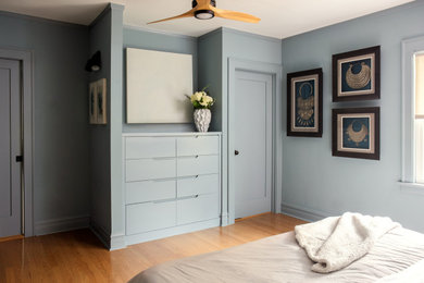 Inspiration for a bedroom remodel in Chicago