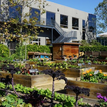Urban Farms