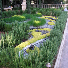 Water Efficient Gardens