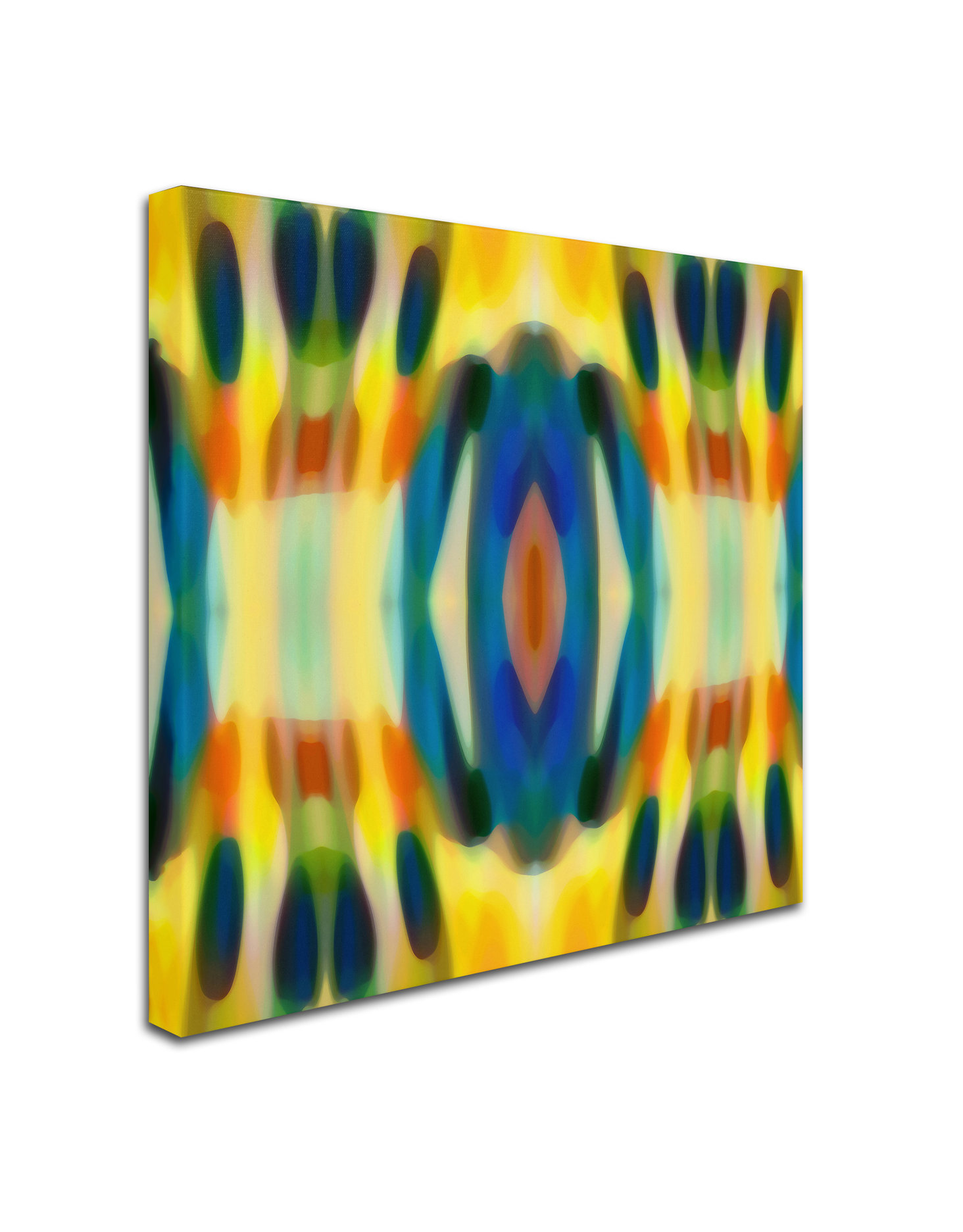 'Fury Pattern 3' Canvas Art by Amy Vangsgard, 24