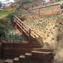 Hillside Ideas