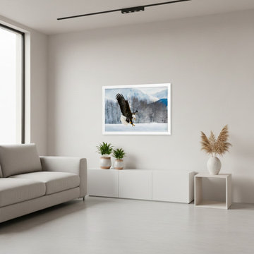 Adult Bald Eagle Wildlife Photo Minimal Style Wall Art