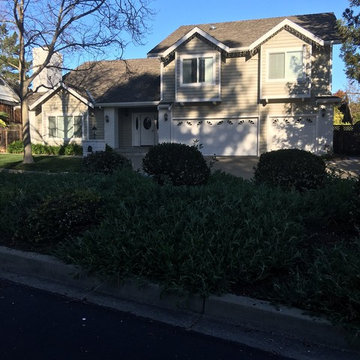 Window & Door Replacement