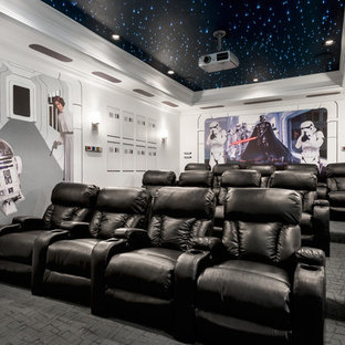 Star Wars Home Theater Ideas Photos Houzz