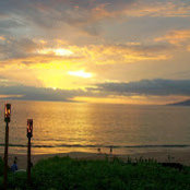Abby Zeichner's photo