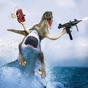 Trey Stead's photo