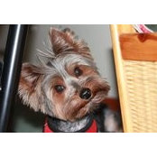 Luckie Hagers foto