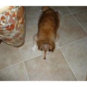 Carol Murphy's photo