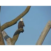 Michael Lewandowski's photo