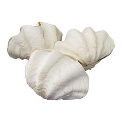 New Arrivals - Products