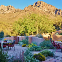 Desert Garden