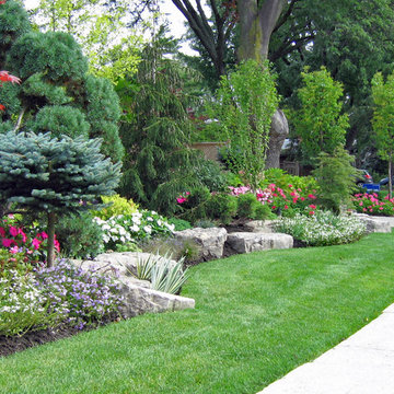 Planting and Maintenance