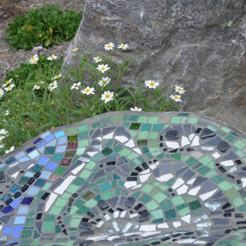 Blackfoot Daisy, mosaic and boulder