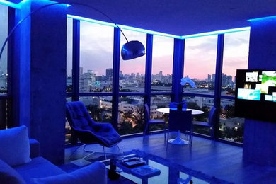 Mid-sized minimalist living room photo in Miami
