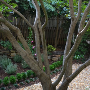 Myers Park in Charlotte, NC