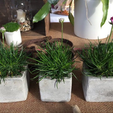 Garden Inspired Decor & Gifts