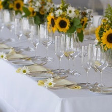 Paola's Wedding