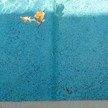 Long Grove, IL Swimming Pool Renovation