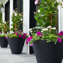 Pots/jardinières