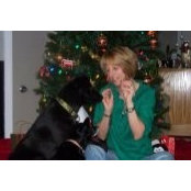 Kaye Shehan's photo