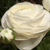 je w's photo