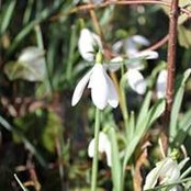 Karen Maye's photo