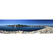 Lily Quinlan's photo