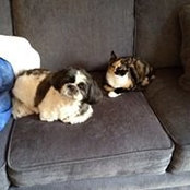 Chris Winkelman's photo