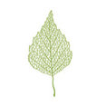 Foto de perfil de Green Garden Ideas
