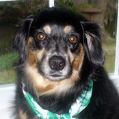 Kathy Flaherty Dulin's photo