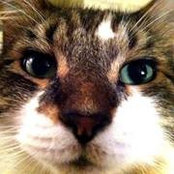 Tammie Collier's photo
