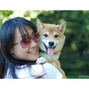 Mèo Béo Thon Thả's photo