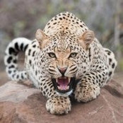 Kim Lanchester's photo