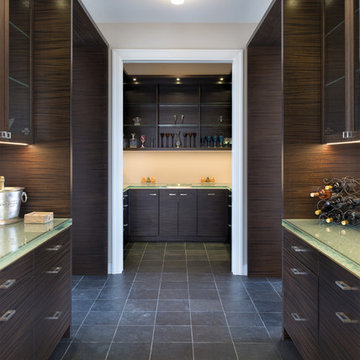 Kildeer, IL Residence