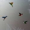 Front Door - Hummingbird Lovers - Maple - 36" x 80" - Knob on Right - Pull Open