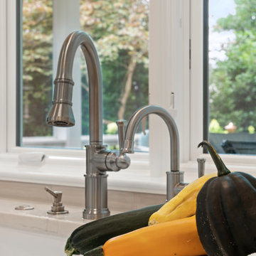 Brizo Faucet and Brizo Cold Water Dispenser