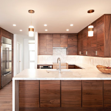 Mod Walnut Kitchen