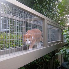Catio
