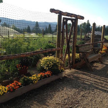 Vegetable/Edible Flowers Garden