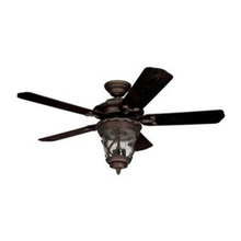Fans