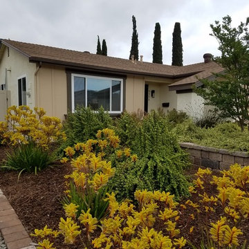 Goodbye grass, Hello San Diego landscape!