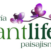 Foto di PLANTLIFE