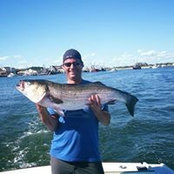 Michael Schnare's photo