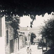 Photo de Julia Pinnel