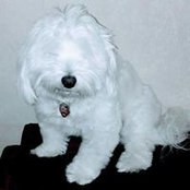 Tracy Gregory's photo