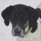 Michael Spector's photo