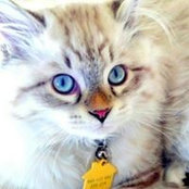 Gretchen Raab's photo