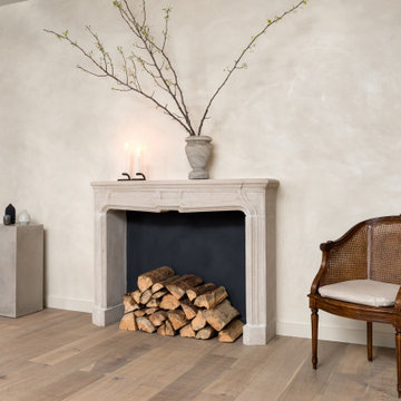 Color Atelier Limestone Plaster