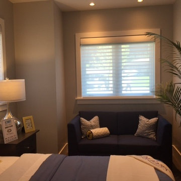 Hunter Douglas Silhouette