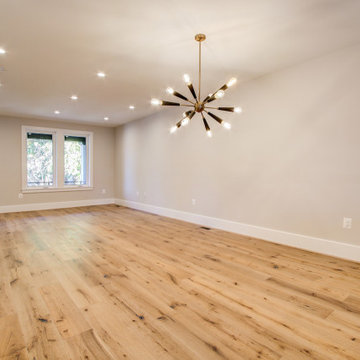 Basement remodel with bedroom space, closet space, living area, DC